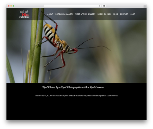 Business profile render WordPress plugin - tellofhiswonders.com
