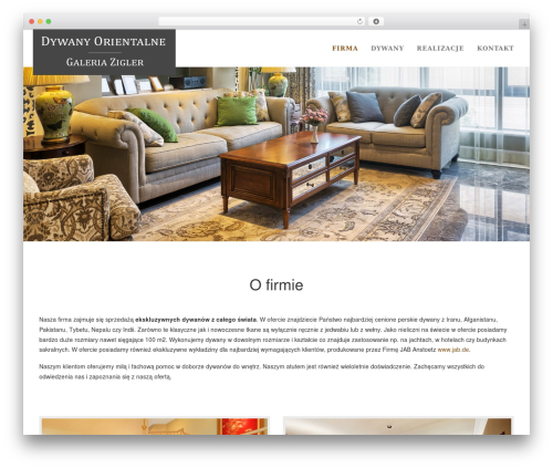 Visual elements WordPress plugin - dywanyorientalne.pl