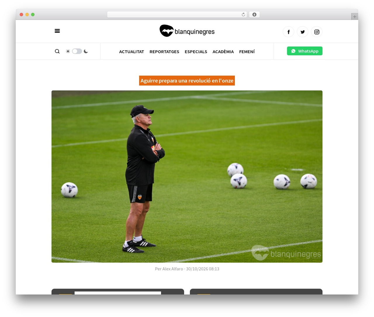 Theme WordPress Blanquinegres 2023 - blanquinegres.com