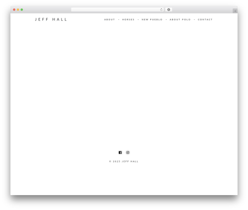ThemeRain Core (themerain-core) free WordPress plugin - jeffhallpolo.com