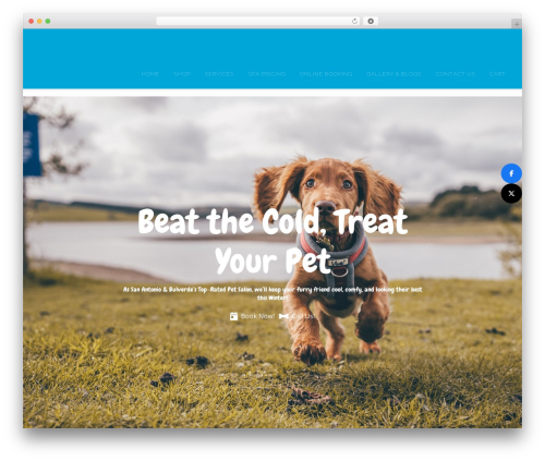 Social Rocket – Social Sharing Plugin (social-rocket) free WordPress plugin - ipawpetcorporation.com