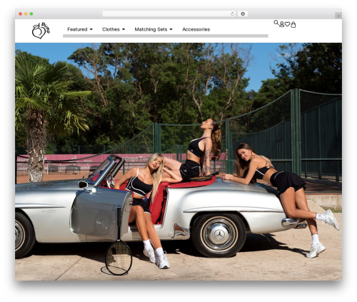 Woocommerce multi inventory WordPress plugin - peach-pump.com