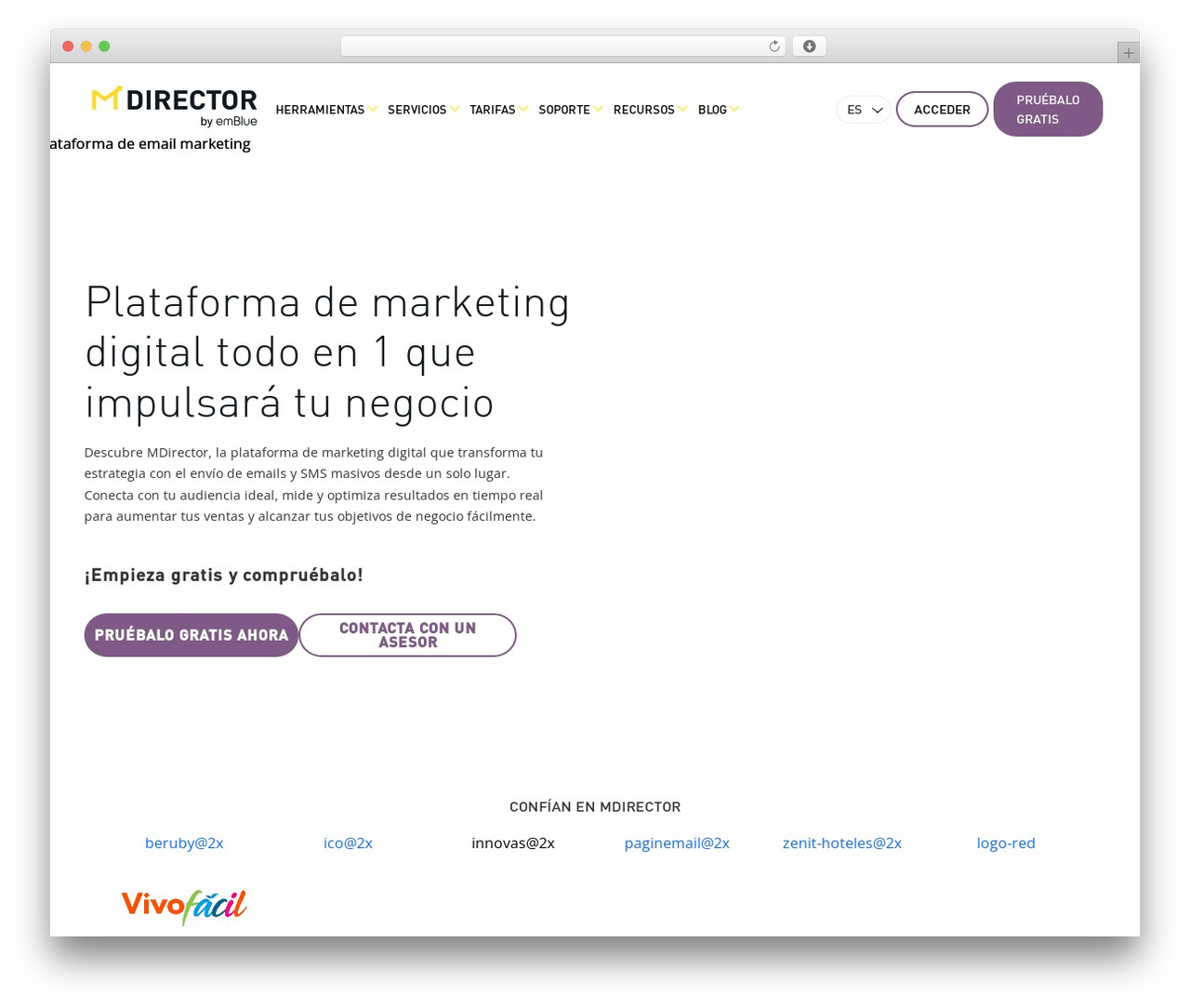 theme WordPress theme - mdirector.com theme WordPress theme - mdirector.com