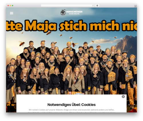 Themify Popup (themify-popup) free WordPress plugin - moosschraenzer.ch