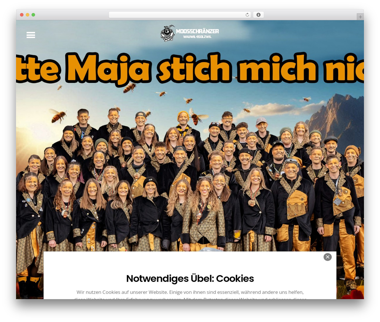 Themify Simple WordPress theme - moosschraenzer.ch