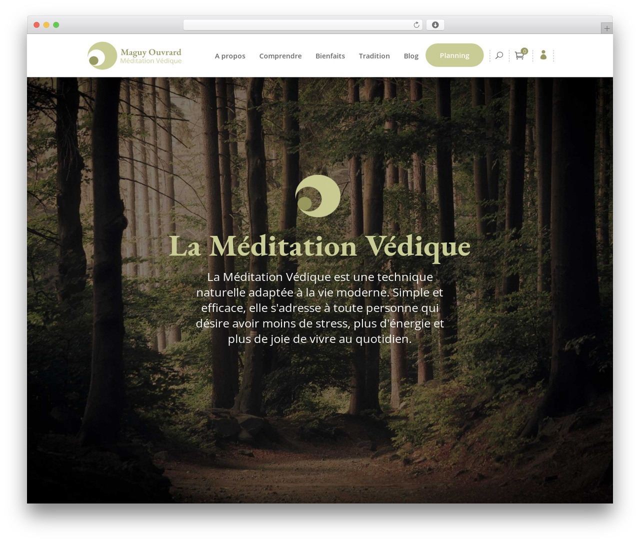 Wellspring theme WordPress - maguy-ouvrard.fr Wellspring theme WordPress - maguy-ouvrard.fr