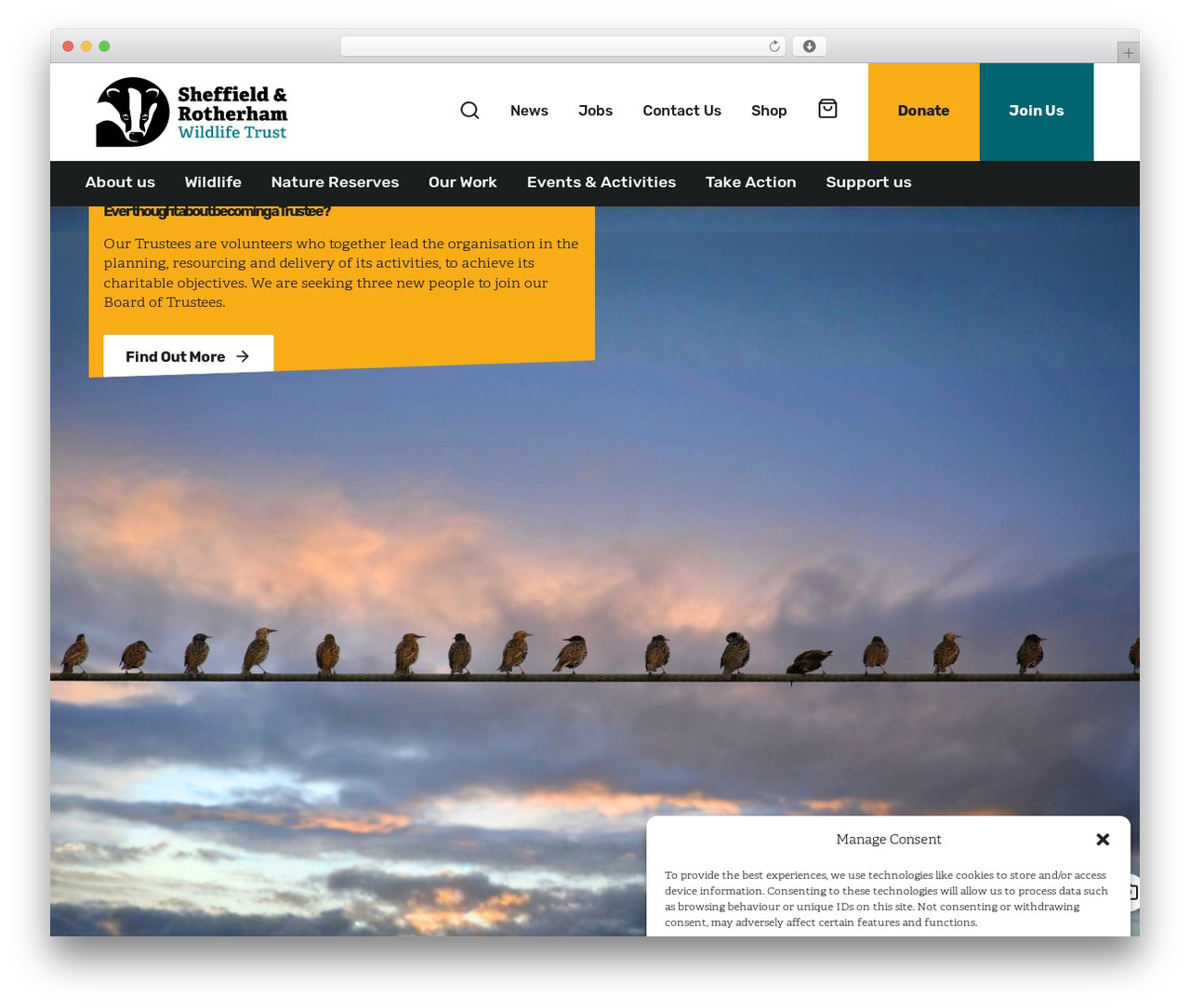 Wildlife Trust WordPress theme - wildsheffield.com