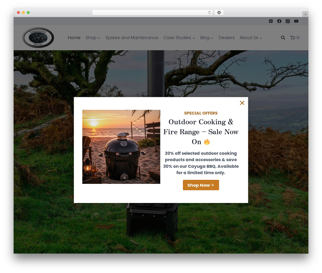 WordPress theme Kadence - salamanderstoves.com WordPress theme Kadence - salamanderstoves.com