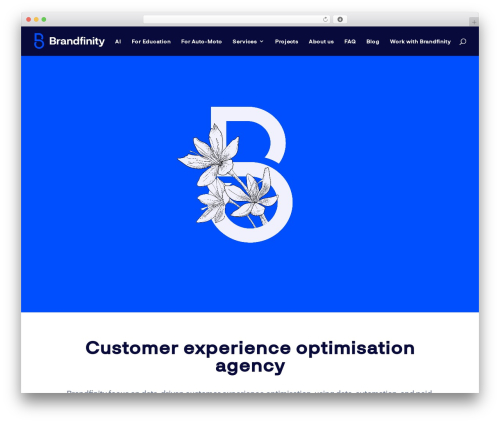 Wp structured data schema premium WordPress plugin - brandfinity.ch