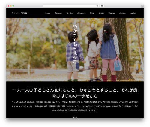 WP theme Switch - tonina-support.com