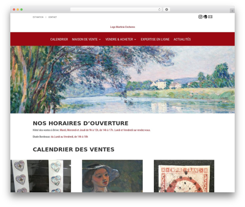 Divi theme WordPress - martinie-encheres.com