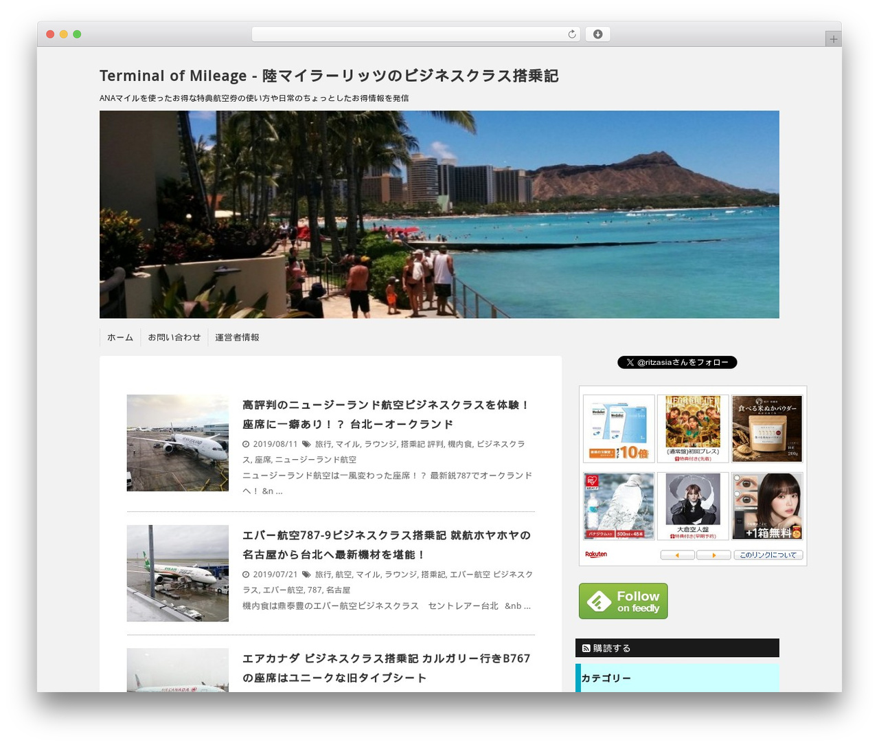 STINGER6 WordPress theme - event-tokutoku.net