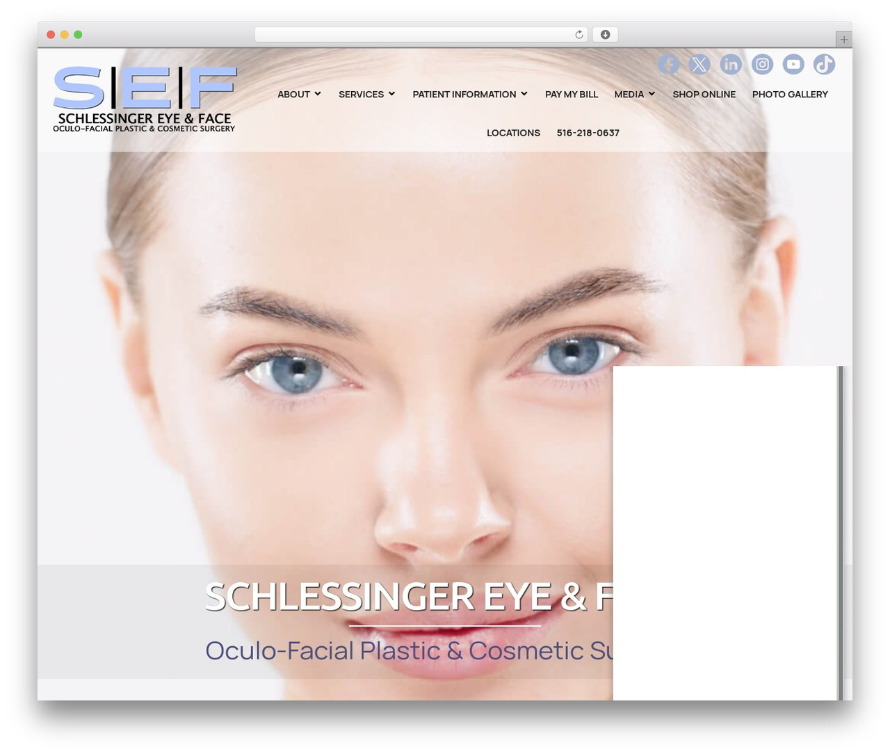 Theme WordPress Glacial Theme - schlessingereyeandface.com Theme WordPress Glacial Theme - schlessingereyeandface.com