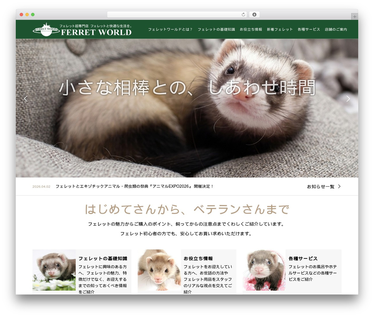 WordPress theme GENSEN - ferret-world.jp WordPress theme GENSEN - ferret-world.jp