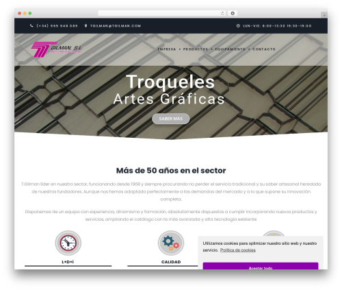 DeepDigital WordPress website theme - tgilman.com