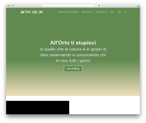 Gravitec net web push notifications WordPress plugin - ortodegliulivi.it
