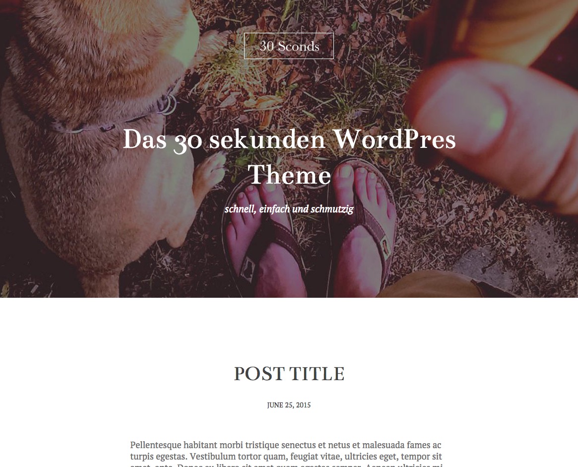 Theme WordPress Web Dev Media WordPress Theme by web dev media UG