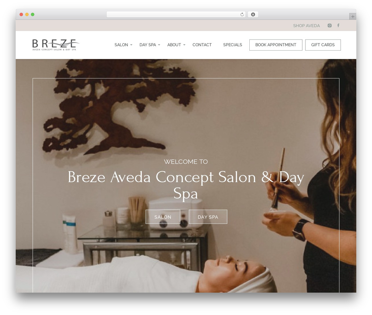 Array Blank Theme WordPress page theme - brezesalonandspa.com
