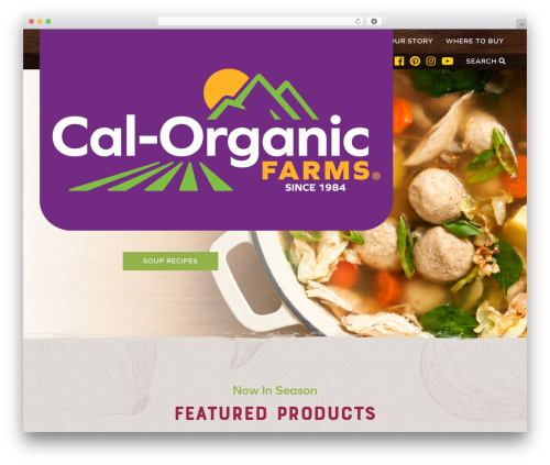 Best WordPress theme Digital Attic - calorganicfarms.com
