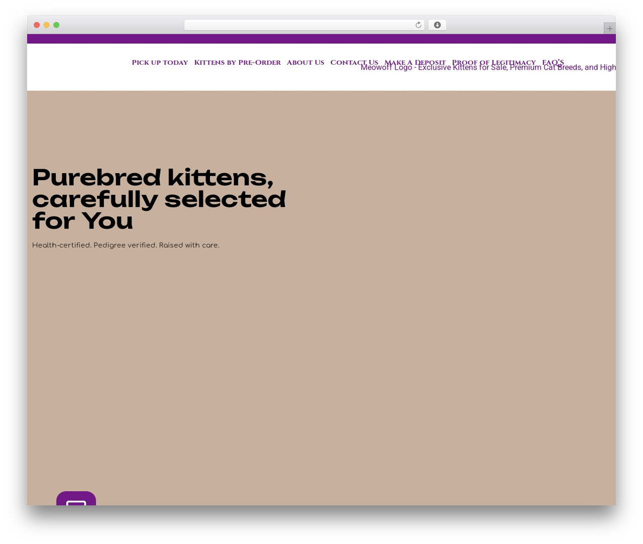 Hello Elementor theme WordPress - meowoff.us Hello Elementor theme WordPress - meowoff.us