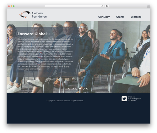 Custom Wordpress Theme WordPress website theme - calderafoundation.org