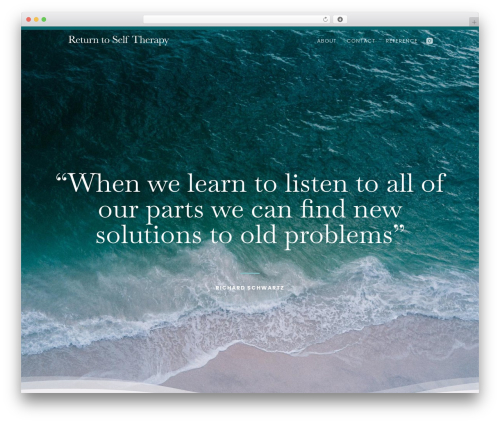Divi WP theme - returntoselftherapy.help