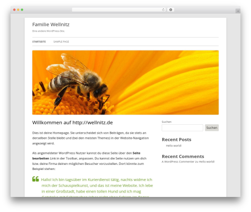 Tiny Framework WordPress theme - wellnitz.de
