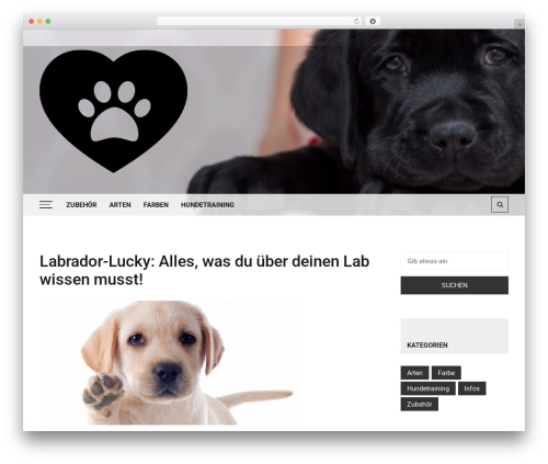 AdRedux – Insert Ads & Codes (adredux) free WordPress plugin - labrador-lucky.de