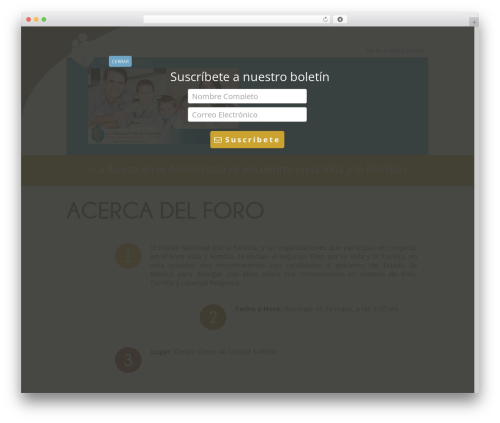 WordPress Calls to Action (cta) free WordPress plugin - forovidayfamilia.org