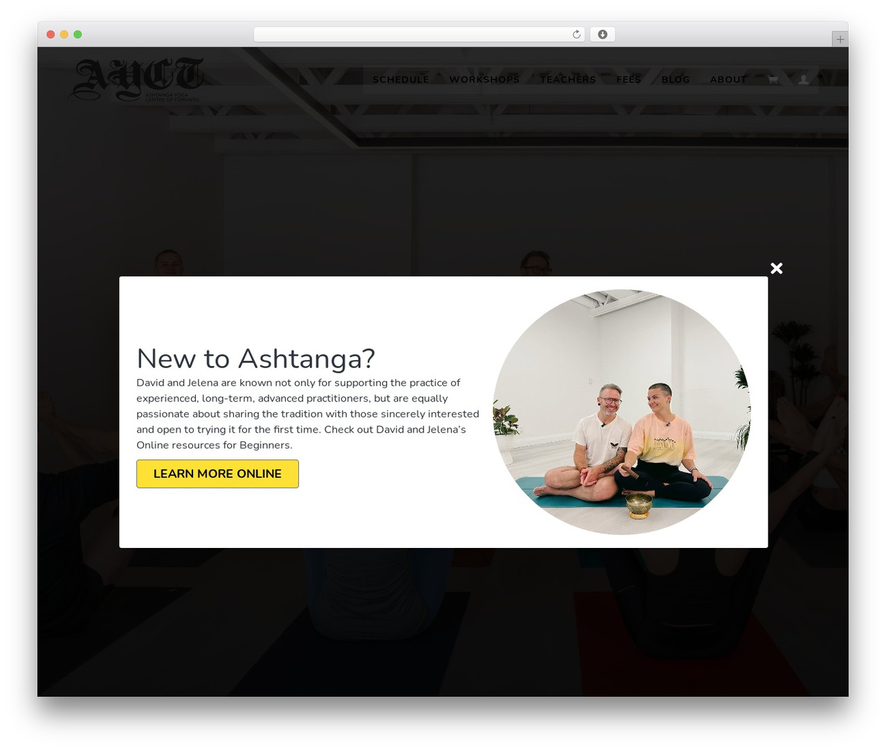 Beaver Builder Theme WordPress theme - ashtangatoronto.com