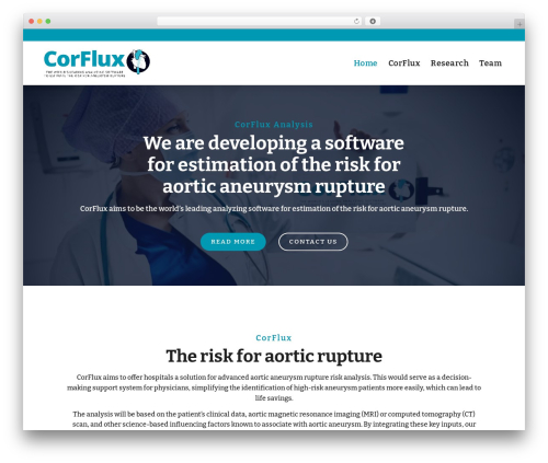 Theme WordPress Hello Elementor - corfluxanalysis.com