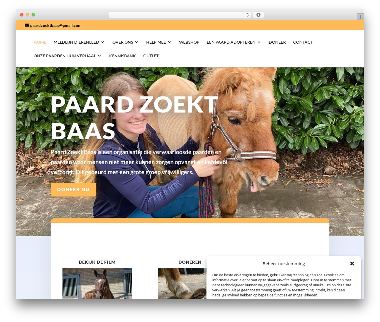 Theme WordPress SmitPRO - paardzoektbaas.nl