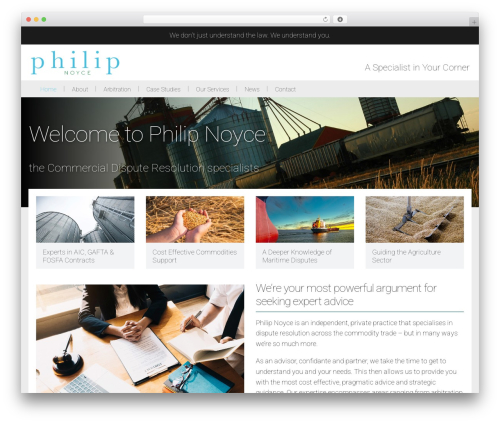 WP theme Example Three - philipnoyce.com