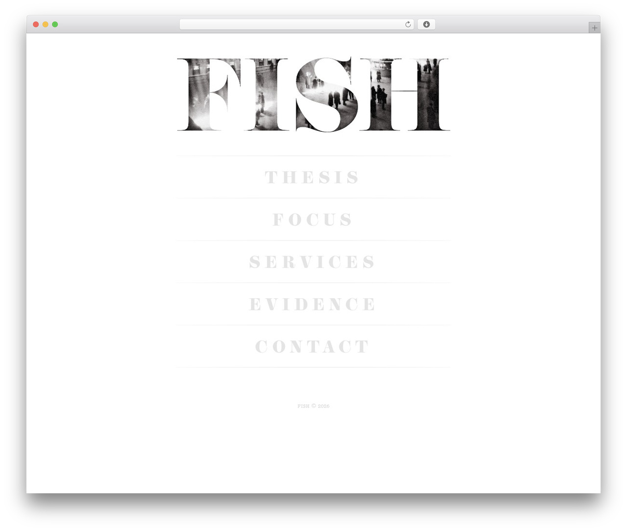 FISH WordPress theme - fishpartners.co