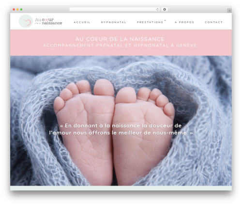 Service showcase pro WordPress plugin - aucoeurdelanaissance.ch