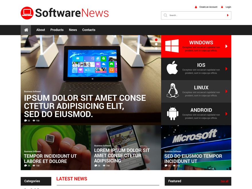 theme52168 WordPress theme