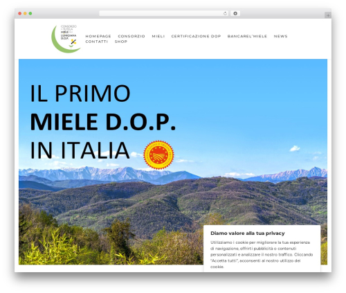WordPress theme Definity - mieledellalunigiana.it WordPress theme Definity - mieledellalunigiana.it
