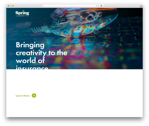 WordPress theme spring - springgroup.com