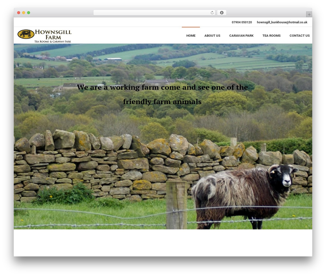 Theme WordPress DFD Native - c2cstopoff.co.uk Theme WordPress DFD Native - c2cstopoff.co.uk