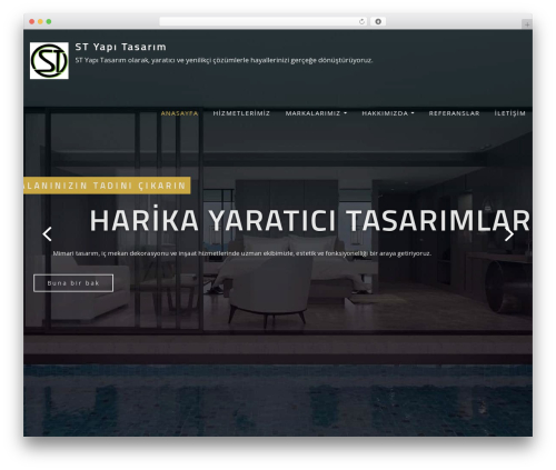WordPress theme Designexo - styapitasarim.com