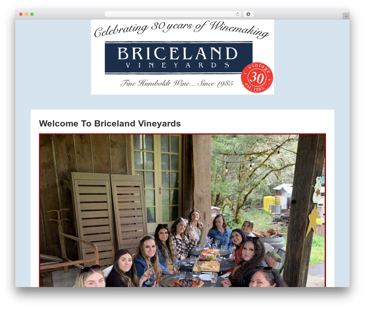 WordPress theme Responsive - bricelandvineyards.com WordPress theme Responsive - bricelandvineyards.com