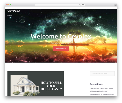 Bizworx WordPress blog theme - ceyplex.com