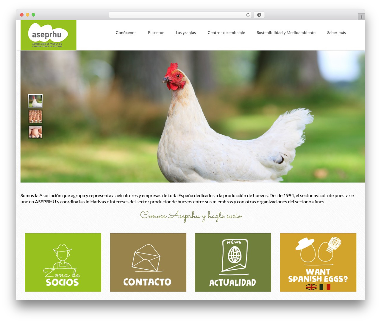 WordPress theme Orane - Evolutionary WordPress Theme - aseprhu.es WordPress theme Orane - Evolutionary WordPress Theme - aseprhu.es