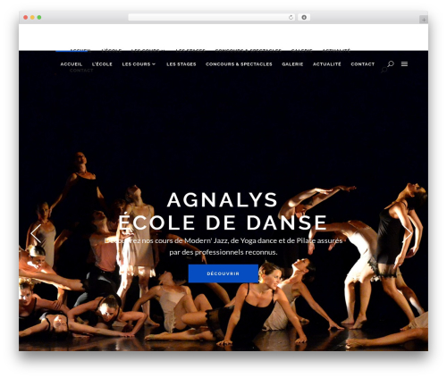 Anahata WordPress theme - agnalysballetjazz.com