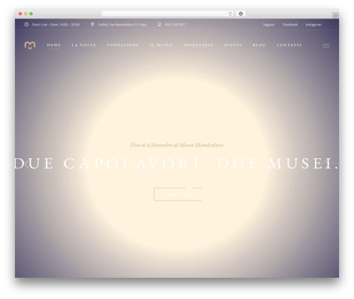 Musea shows WordPress plugin - fondazionemandralisca.it
