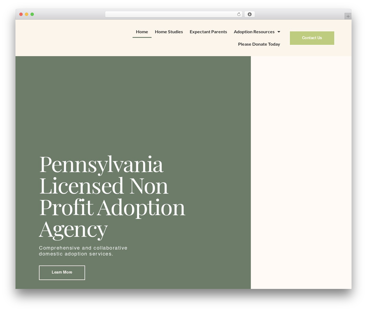 Builder Theme WordPress theme - absoluteloveadoptions.com