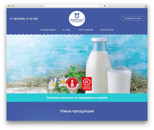 Flat Bootstrap WordPress theme - vmsz.ru