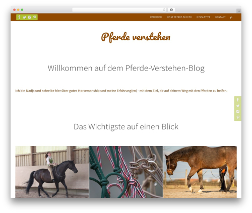 WordPress Form Customizer | CF7 Customizer (cf7-customizer) free WordPress plugin - verstehepferde.de