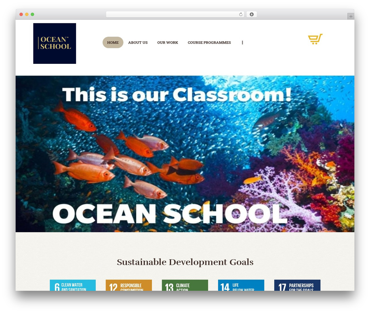 Rhythmo WordPress theme - oceanschoolindia.org