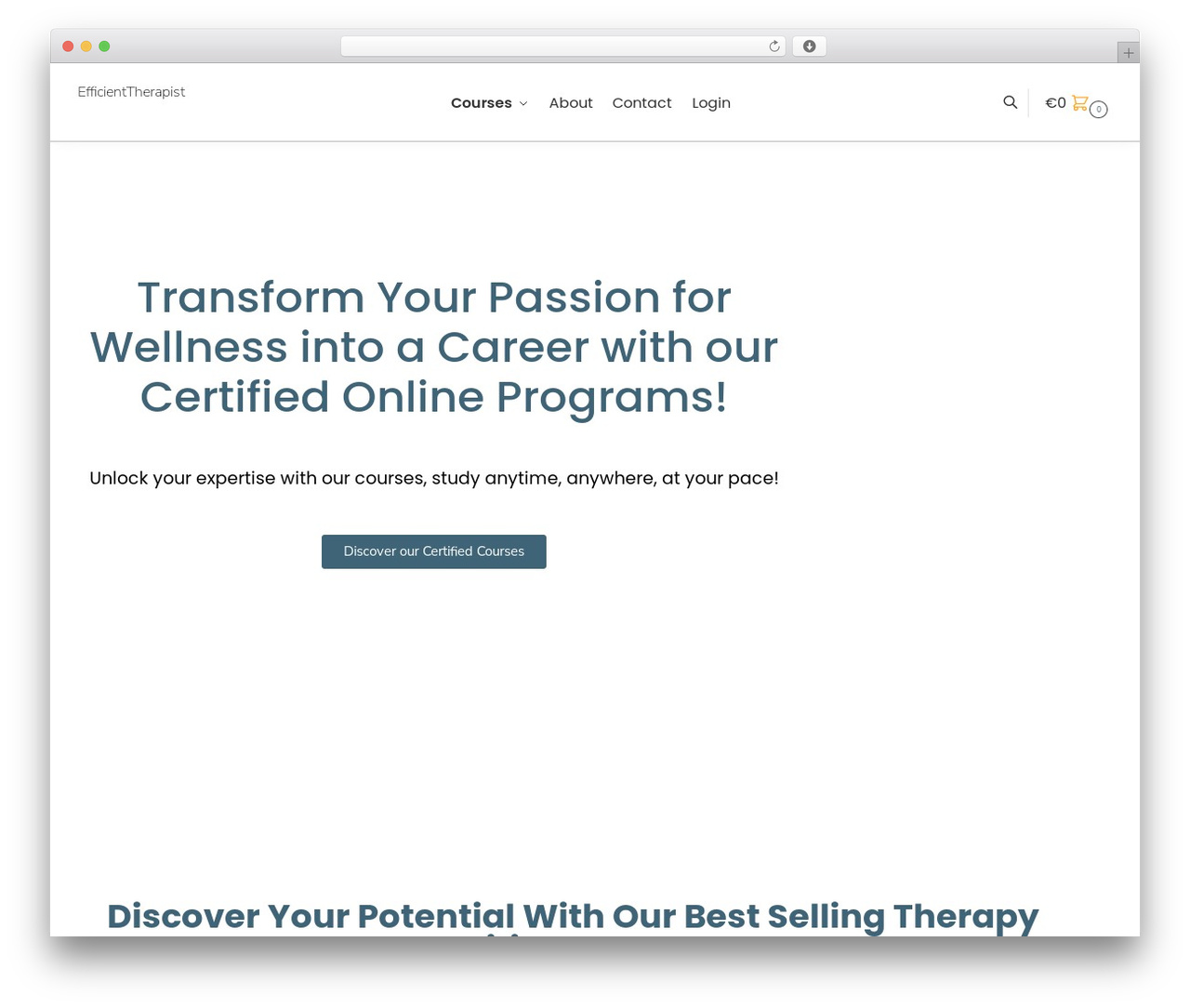 Shoptimizer WordPress store theme - efficientherapist.com Shoptimizer WordPress store theme - efficientherapist.com